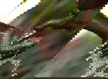 机器人运动竞技场